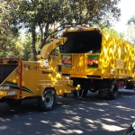 Tree Removal & Tree Trimming Service Los Angeles