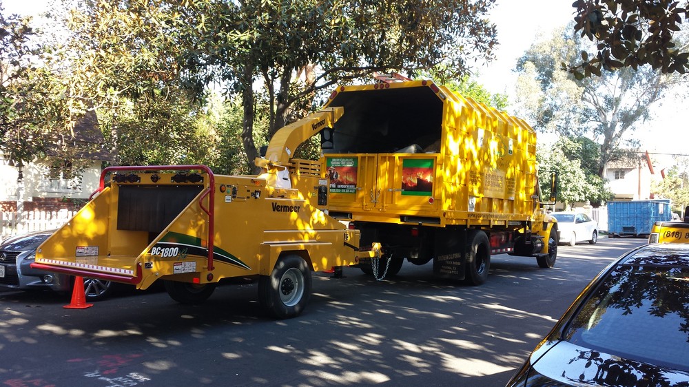 Tree Service Contractor in the San Gabriel Valley