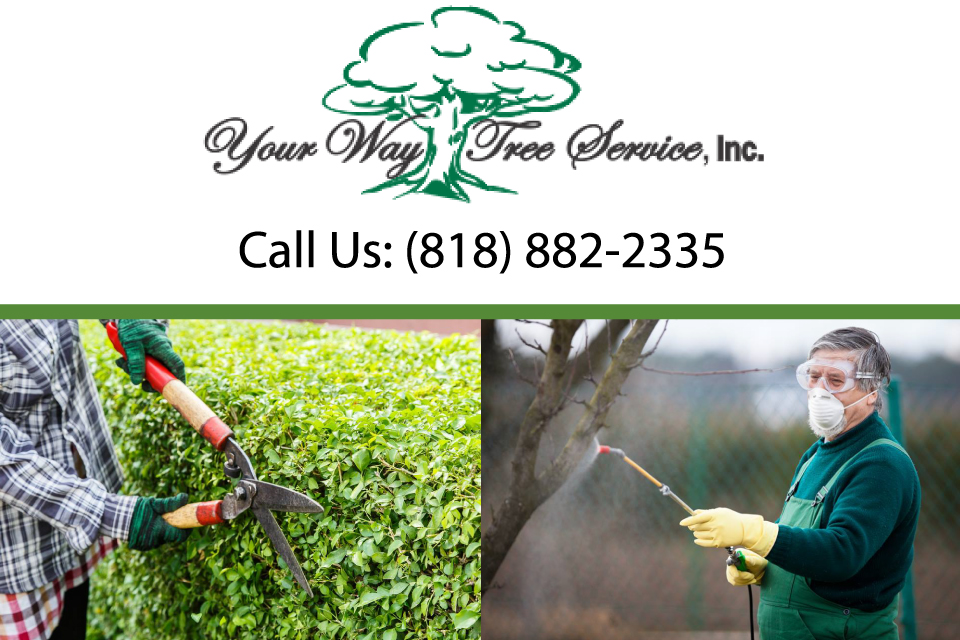 License and Bonded Tree Removal