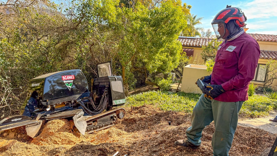 stump grinding