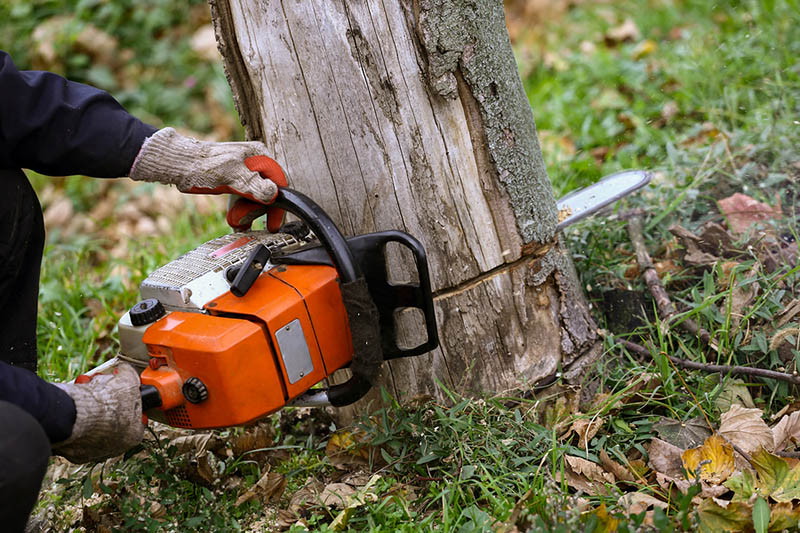 Hudson Emergency Tree Removal