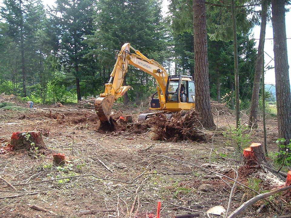 stump grinding Los Angeles