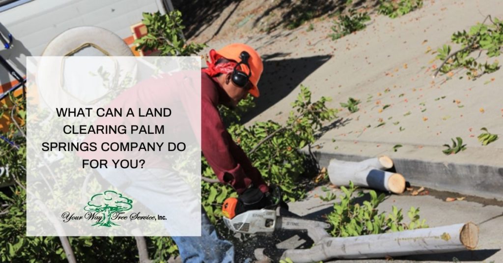 Land Clearing Palm Springs