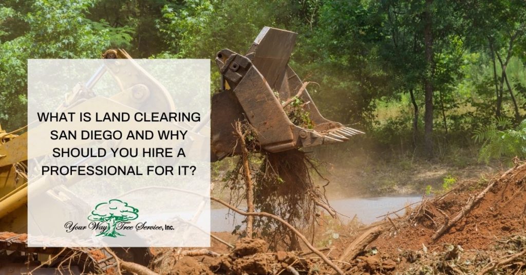Land Clearing San Diego
