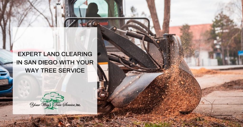 Land Clearing in San Diego