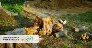 how to hire tree removal in sherman oaks