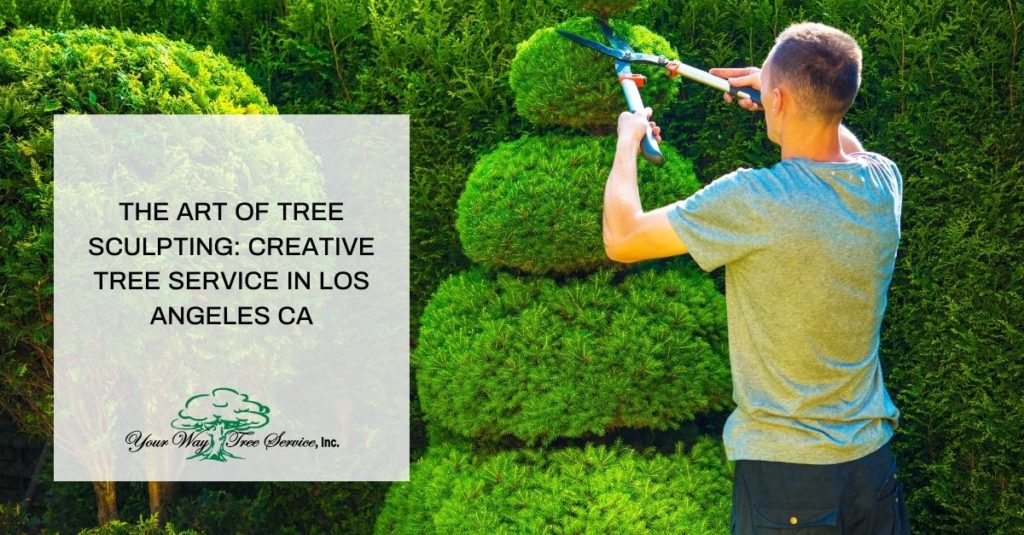 Tree Shaping: A Unique Look at Trees - CLC Tree Services