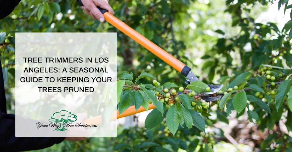 Tree Trimmers in Los Angeles