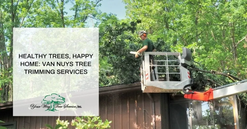 healthy trees happy home van nuys tree trimming services x