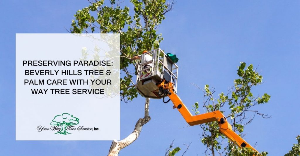 tree removal Beverly Hills