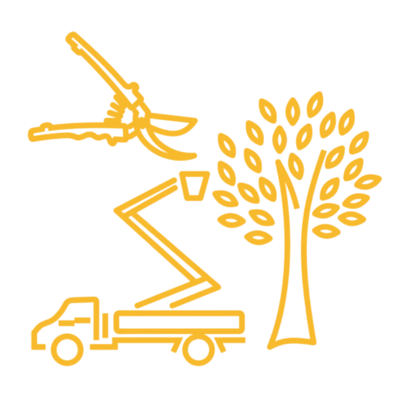 brush clearing