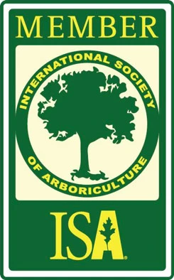 member isa tree trimming