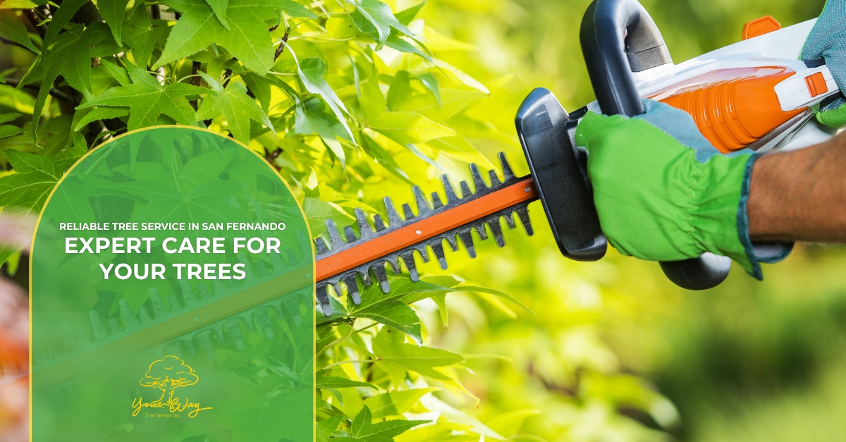 tree service san fernando