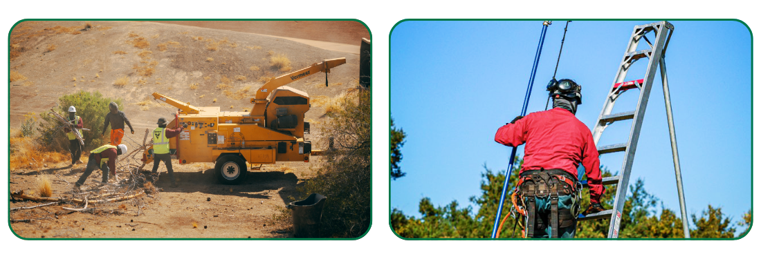 golf course tree maintenance 