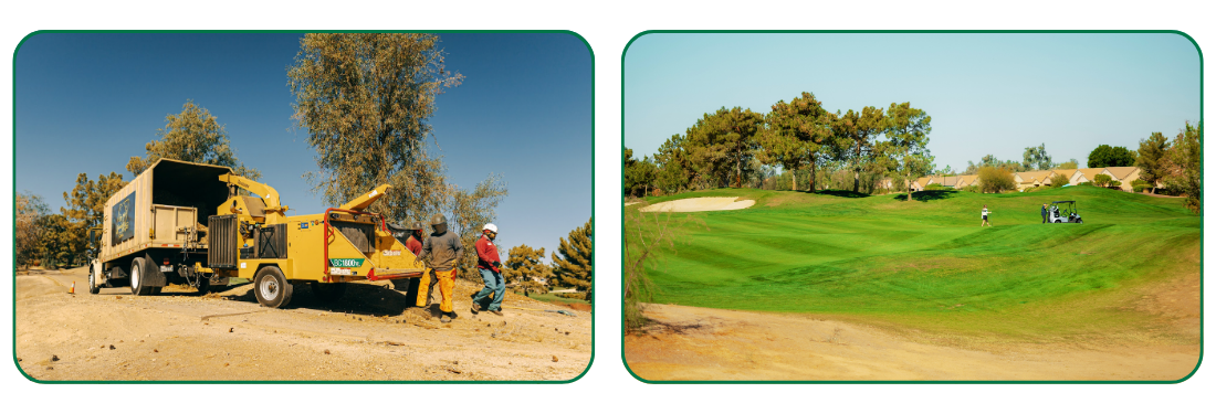 golf course tree maintenance