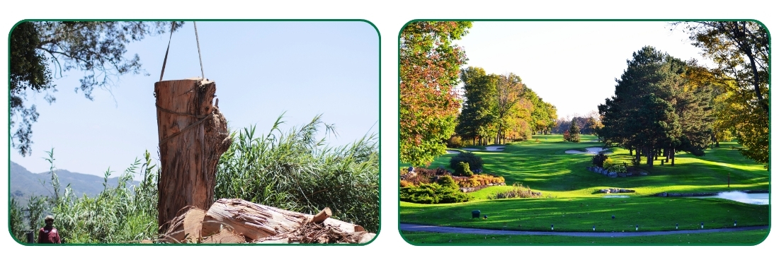 golf course tree removal los angeles