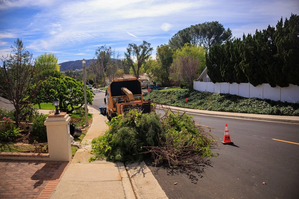 tree service santa clarita