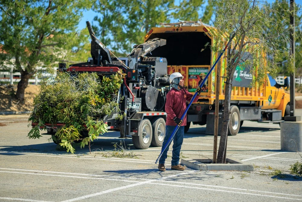 tree trimming agoura hills