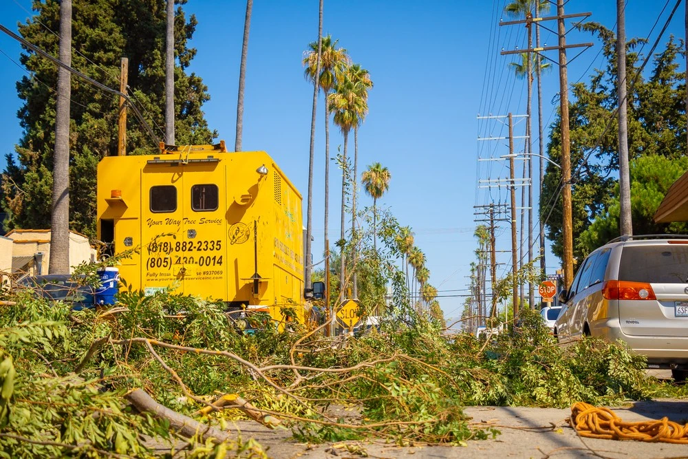 tree trimming encino