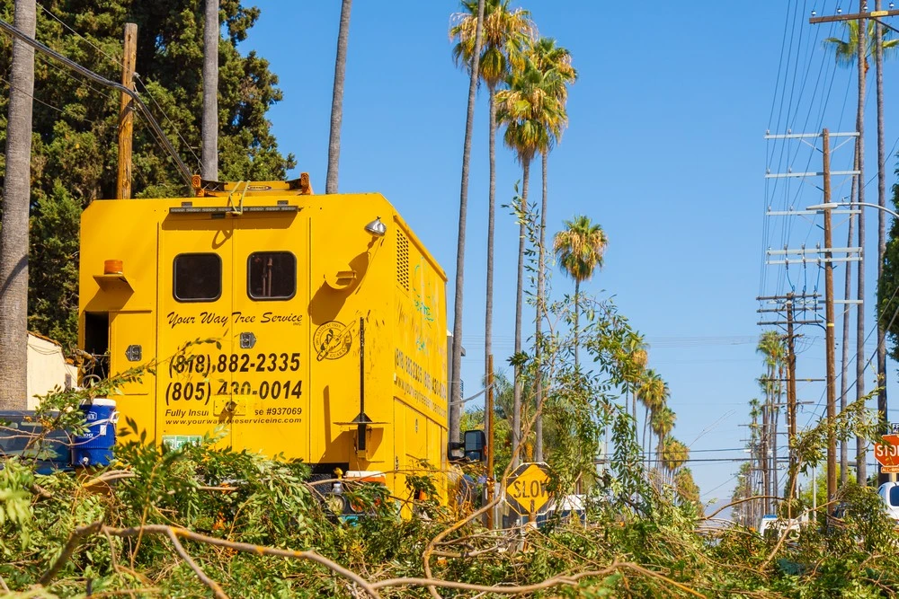 tree trimming los angeles