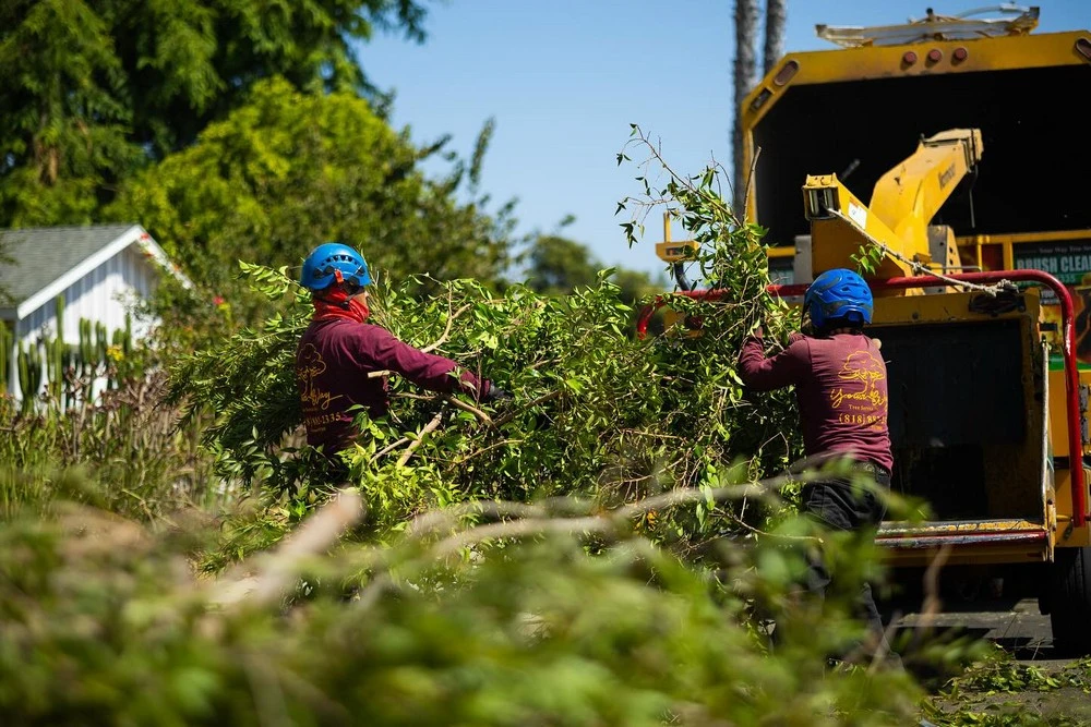 tree trimming santa barbara