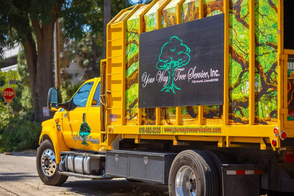 tree trimming woodland hills