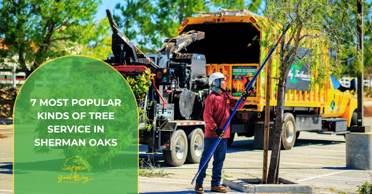 tree service in sherman oaks
