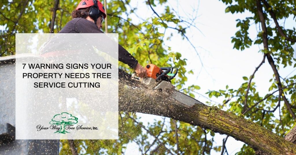  warning signs your property needs tree service cutting