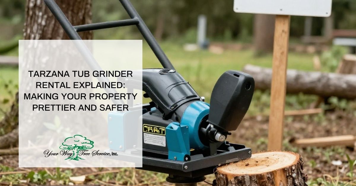 tarzana tub grinder rental explained making your property prettier and safer
