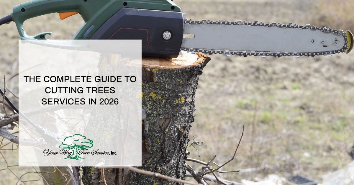 the complete guide to cutting trees services in