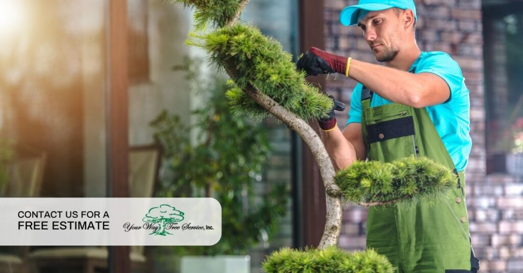 tree trimming in santa clarita
