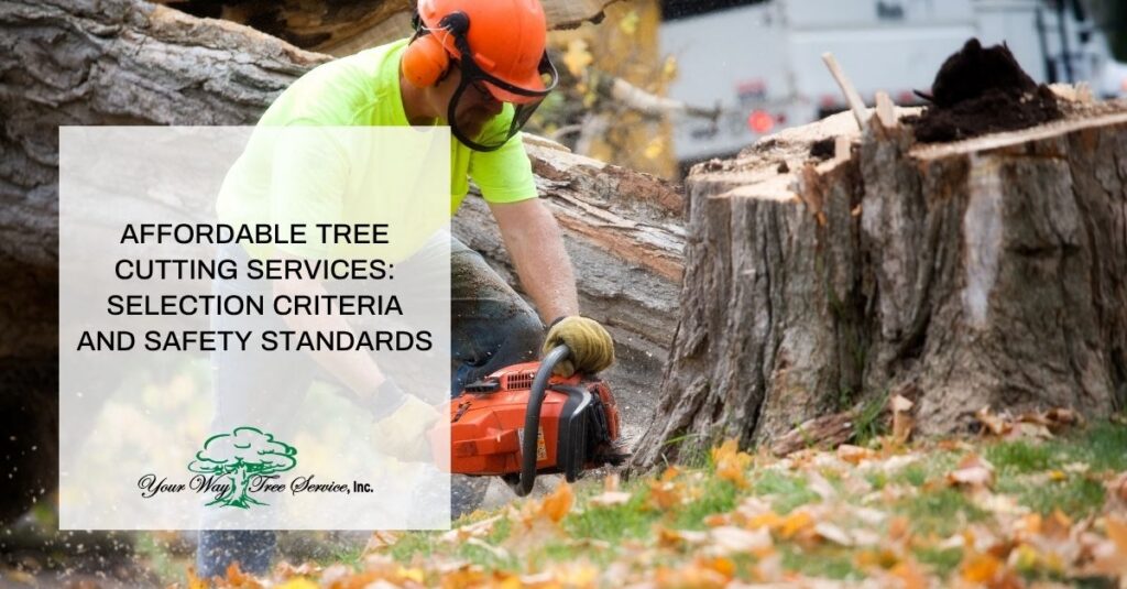 affordable tree cutting services selection criteria and safety standards 