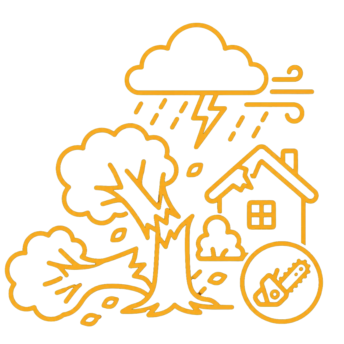 storm damage