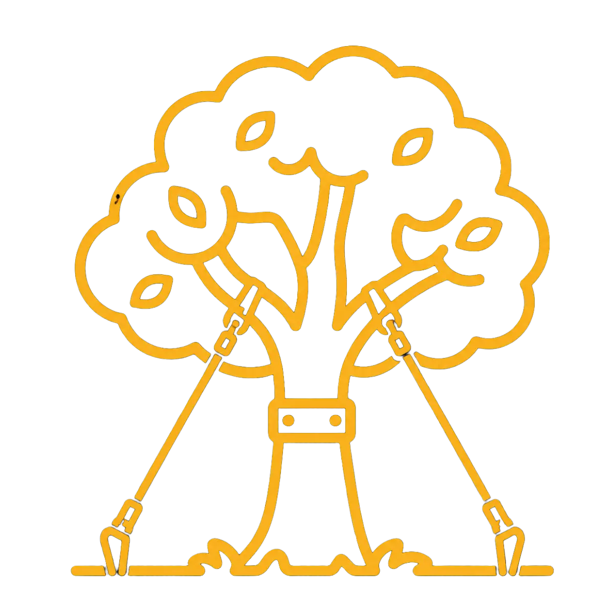 tree bracing