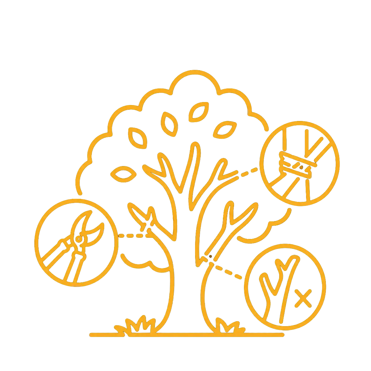 tree pruning